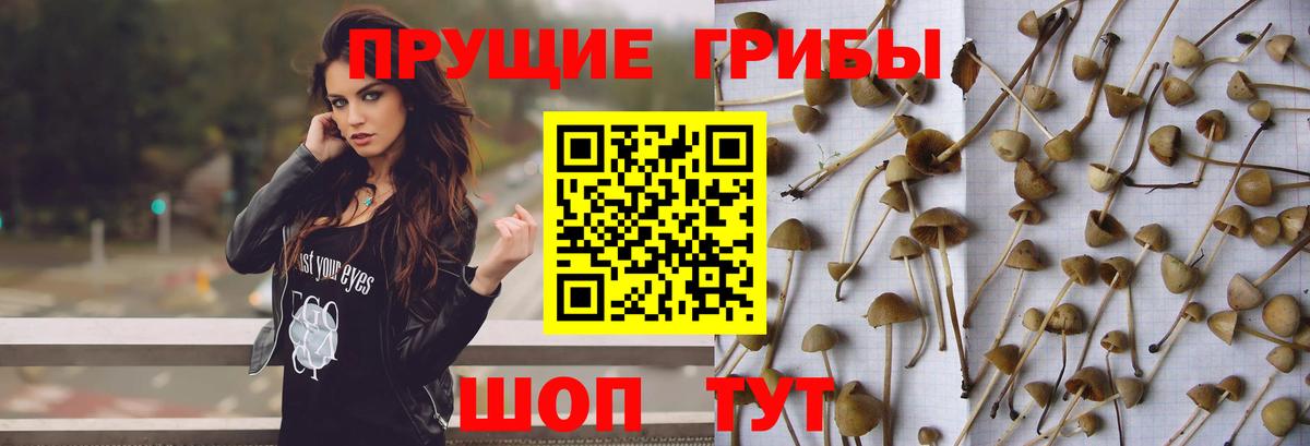 Галлюциногенные грибы ЛСД Артёмовский
