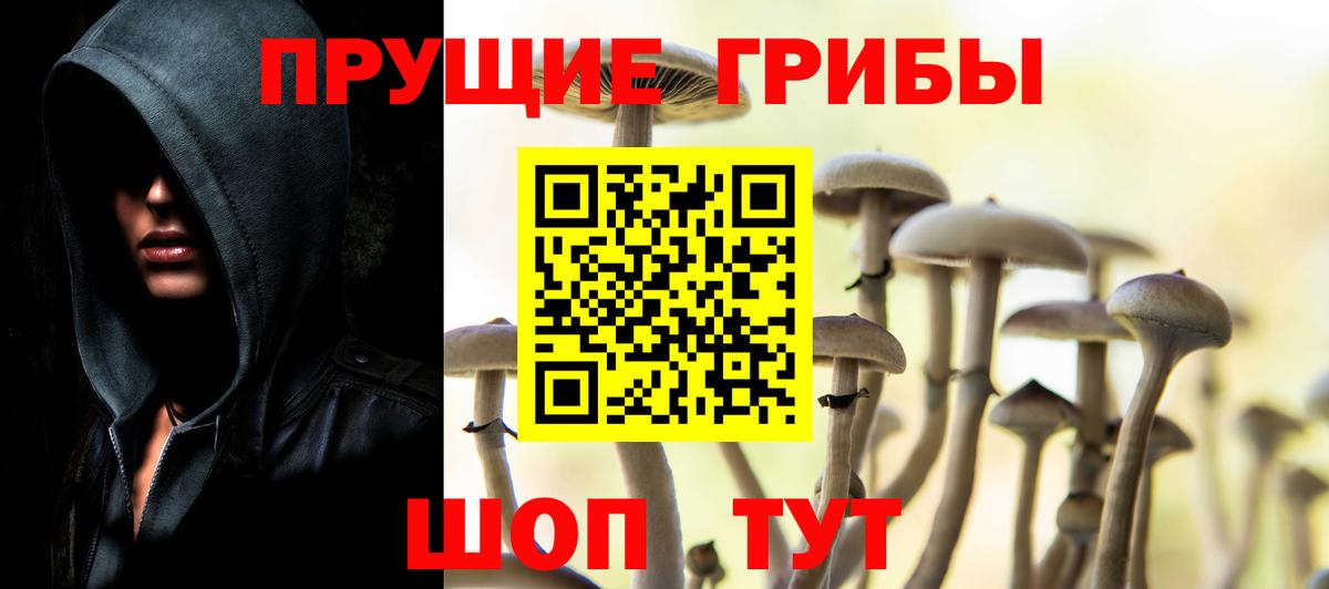 дарнет шоп  Вход с VPN  Артёмовский  Псилоцибиновые грибы мицелий  Псилоцибиновые грибы Cubensis 